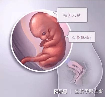 中心环境